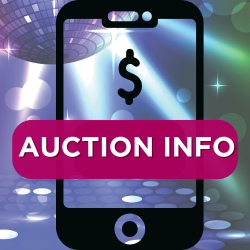 Auction info