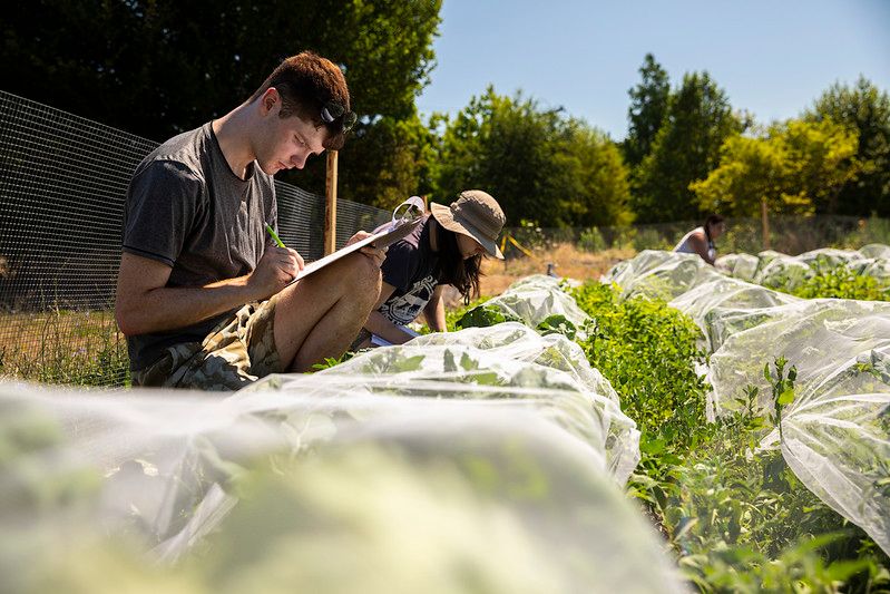 students working in the field