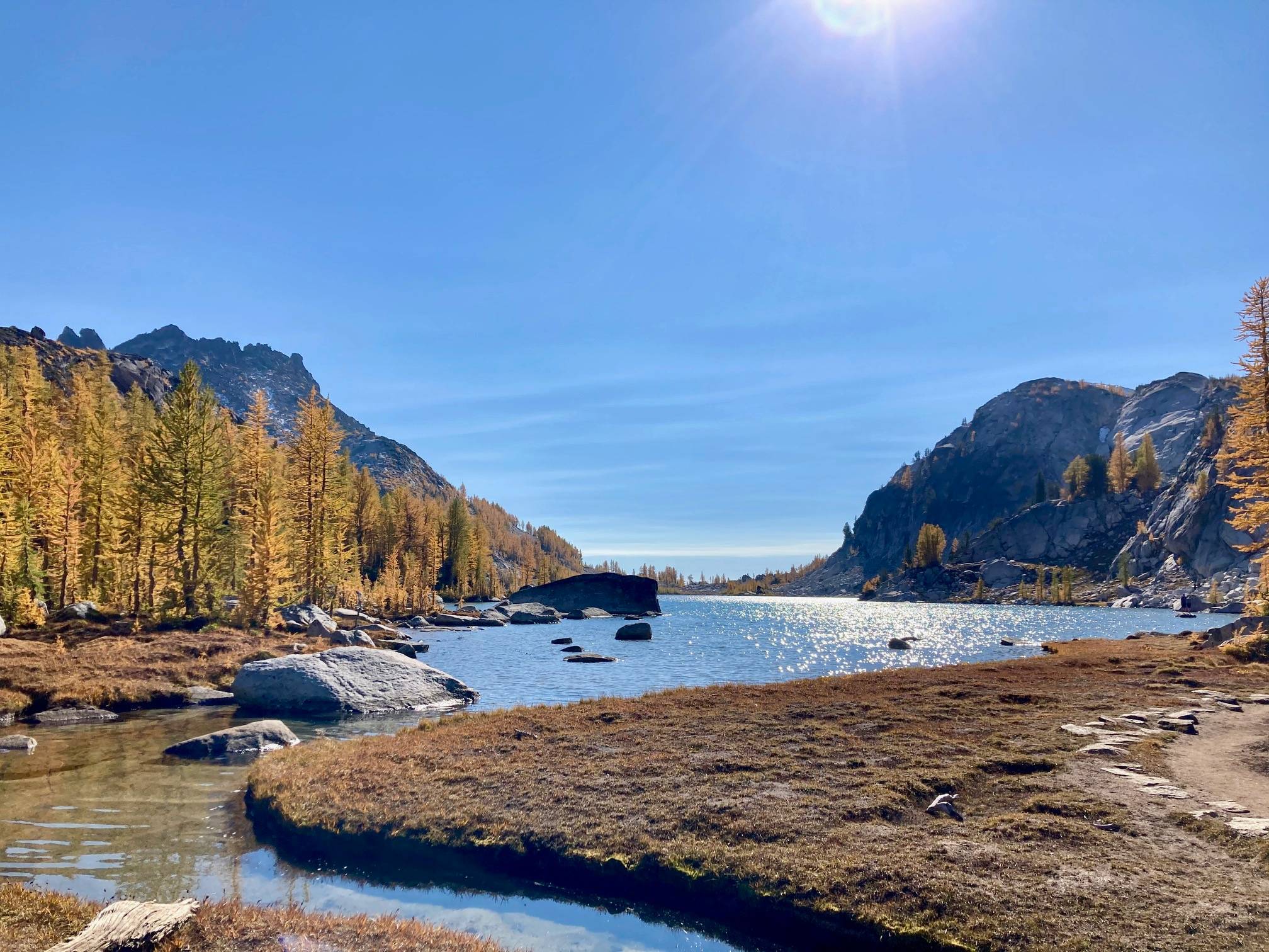 alpine lake with mountains in the distance and larch trees on the banks